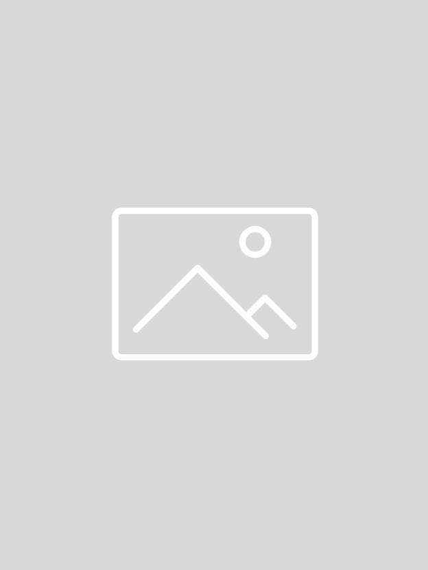 el_img3